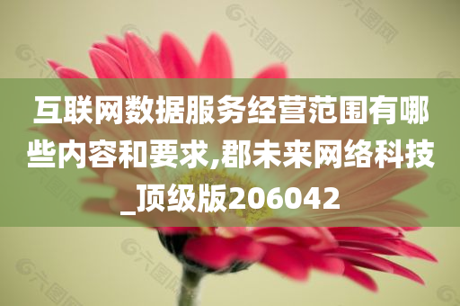 互联网数据服务经营范围有哪些内容和要求,郡未来网络科技_顶级版206042