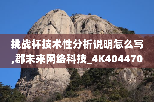 挑战杯技术性分析说明怎么写,郡未来网络科技_4K404470