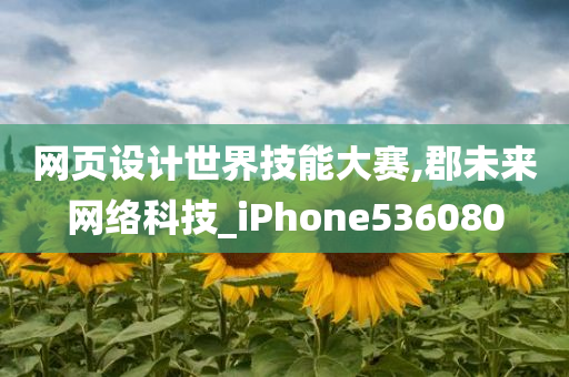 网页设计世界技能大赛,郡未来网络科技_iPhone536080