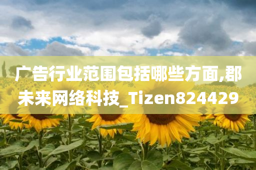 广告行业范围包括哪些方面,郡未来网络科技_Tizen824429