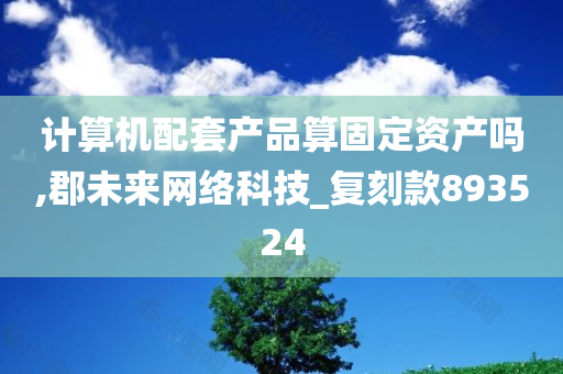 计算机配套产品算固定资产吗,郡未来网络科技_复刻款893524