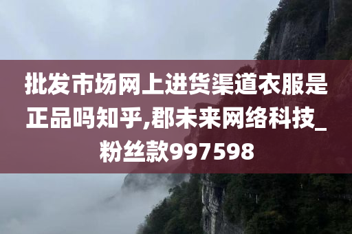 批发市场网上进货渠道衣服是正品吗知乎,郡未来网络科技_粉丝款997598