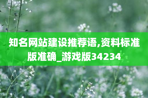 知名网站建设推荐语,资料标准版准确_游戏版34234