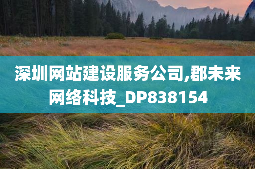 深圳网站建设服务公司,郡未来网络科技_DP838154