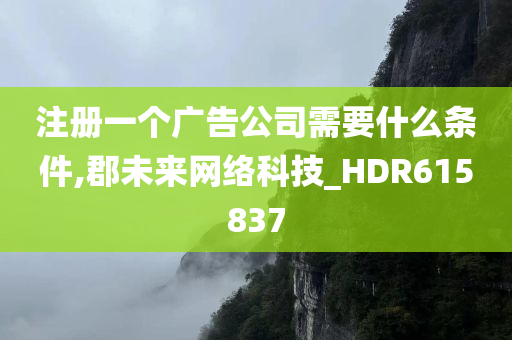 注册一个广告公司需要什么条件,郡未来网络科技_HDR615837