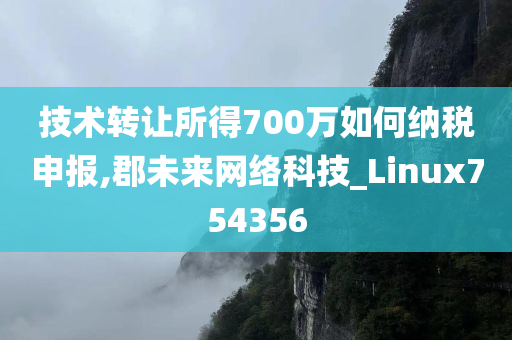 技术转让所得700万如何纳税申报,郡未来网络科技_Linux754356