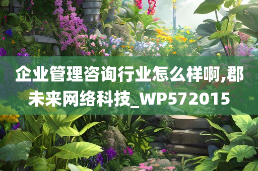 企业管理咨询行业怎么样啊,郡未来网络科技_WP572015