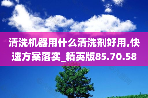 清洗机器用什么清洗剂好用,快速方案落实_精英版85.70.58