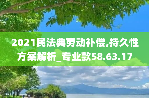 2021民法典劳动补偿,持久性方案解析_专业款58.63.17