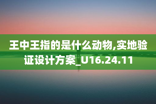 王中王指的是什么动物,实地验证设计方案_U16.24.11