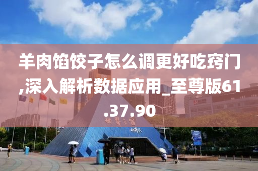 羊肉馅饺子怎么调更好吃窍门,深入解析数据应用_至尊版61.37.90