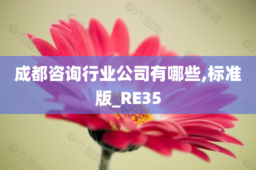 成都咨询行业公司有哪些,标准版_RE35