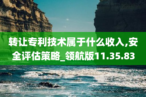 转让专利技术属于什么收入,安全评估策略_领航版11.35.83