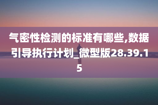 气密性检测的标准有哪些,数据引导执行计划_微型版28.39.15