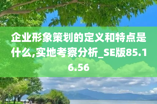 企业形象策划的定义和特点是什么,实地考察分析_SE版85.16.56