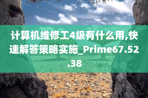 计算机维修工4级有什么用,快速解答策略实施_Prime67.52.38