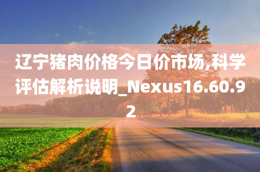 辽宁猪肉价格今日价市场,科学评估解析说明_Nexus16.60.92