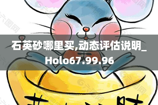 石英砂哪里买,动态评估说明_Holo67.99.96