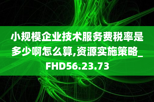 小规模企业技术服务费税率是多少啊怎么算,资源实施策略_FHD56.23.73