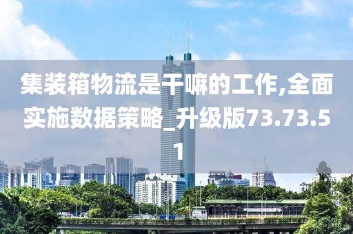 集装箱物流是干嘛的工作,全面实施数据策略_升级版73.73.51