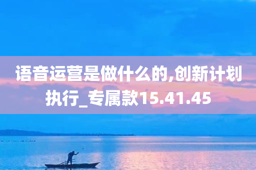 语音运营是做什么的,创新计划执行_专属款15.41.45