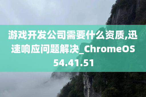 游戏开发公司需要什么资质,迅速响应问题解决_ChromeOS54.41.51