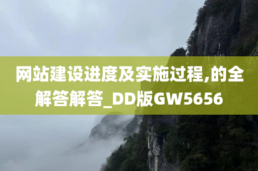 网站建设进度及实施过程,的全解答解答_DD版GW5656