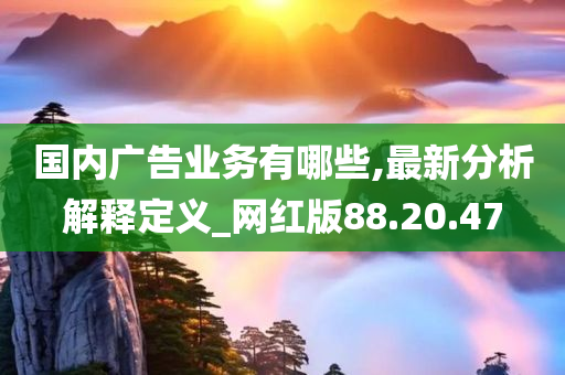 国内广告业务有哪些,最新分析解释定义_网红版88.20.47