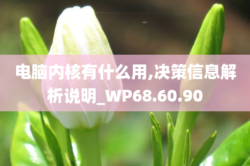 电脑内核有什么用,决策信息解析说明_WP68.60.90