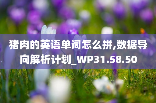 猪肉的英语单词怎么拼,数据导向解析计划_WP31.58.50