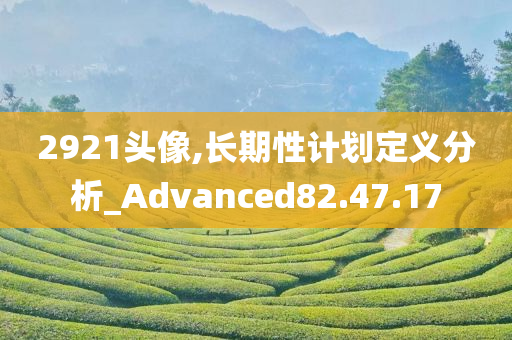 2921头像,长期性计划定义分析_Advanced82.47.17