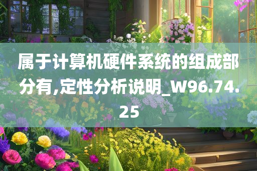 属于计算机硬件系统的组成部分有,定性分析说明_W96.74.25