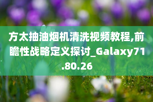 方太抽油烟机清洗视频教程,前瞻性战略定义探讨_Galaxy71.80.26