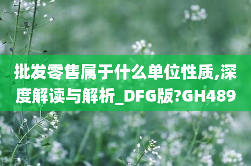 批发零售属于什么单位性质,深度解读与解析_DFG版?GH489