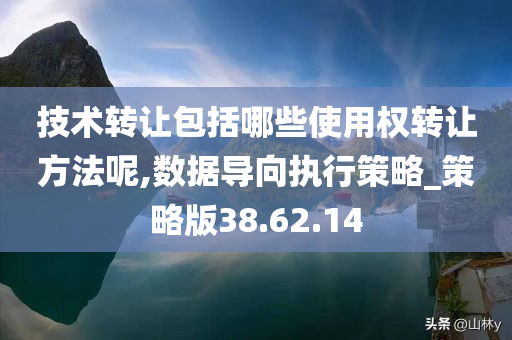 技术转让包括哪些使用权转让方法呢,数据导向执行策略_策略版38.62.14