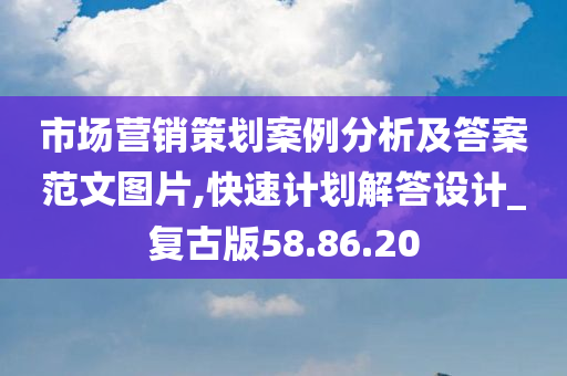 市场营销策划案例分析及答案范文图片,快速计划解答设计_复古版58.86.20