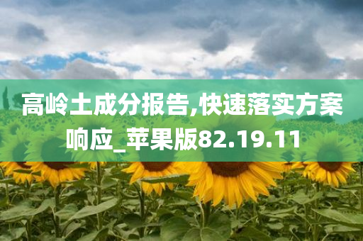 高岭土成分报告,快速落实方案响应_苹果版82.19.11