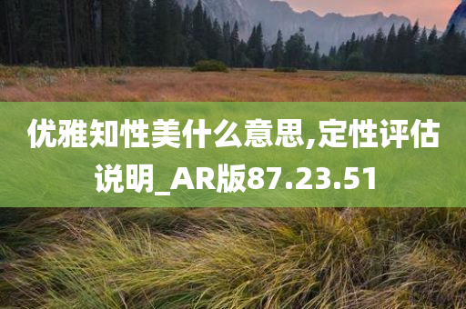 优雅知性美什么意思,定性评估说明_AR版87.23.51