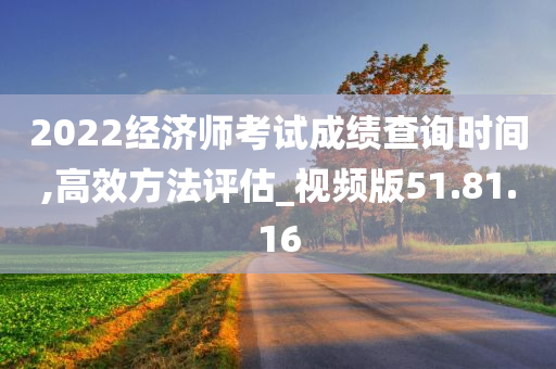 2022经济师考试成绩查询时间,高效方法评估_视频版51.81.16